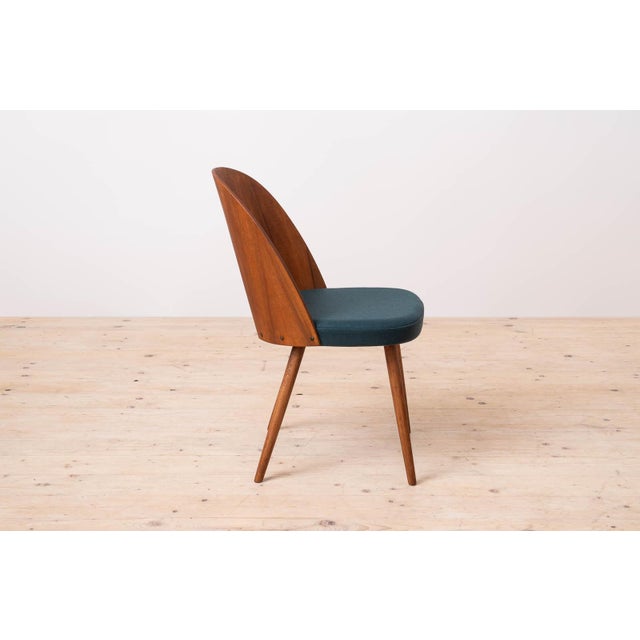 Mid-Century Modern Dining Chairs by A. Šuman, 1960s, Set of 14 For Sale - Image 9 of 18