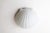 1970s Seashell Lamp from Glashütte Limburg For Sale - Image 5 of 7