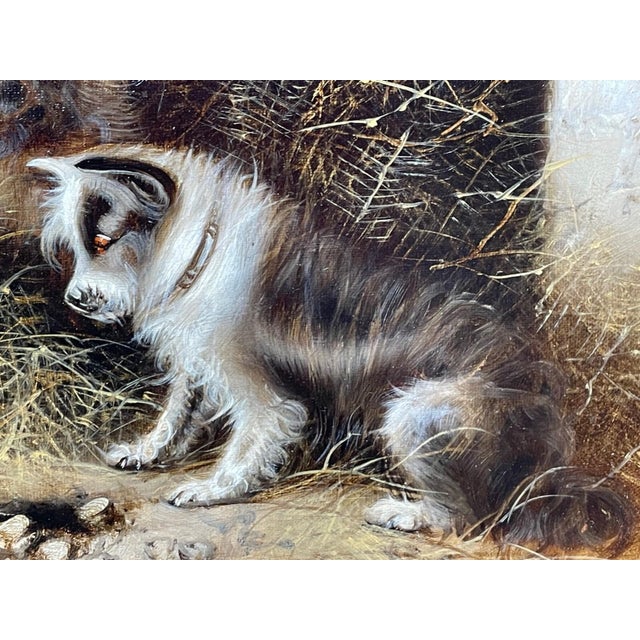 Edward Armfield 19th Century a Sharp Lookout Terriers Ratting Oil Painting For Sale - Image 13 of 15
