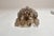 Mid-Century Modern Pair of Murano Italian Poliedri Smoked Glass Wall Sconces For Sale - Image 3 of 11