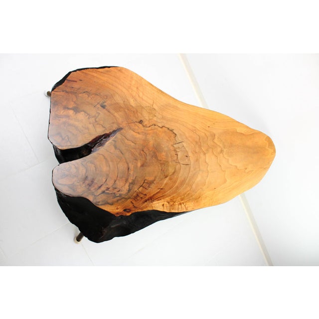 Tree Trunk Table by Carl Auböck, 1950s For Sale - Image 10 of 18