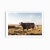 This contemporary fine art photography print features a beautiful large brown cow roaming the coastal landscape of...