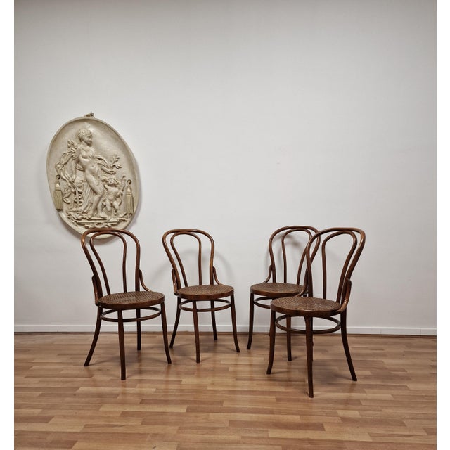 Bent Beechwood Dining Chairs from Salvatore Leone, Late 19th Century, Set of 4, in Flawless conditions. Designed 1890 to...