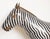 Rare Extra Large Vintage Chinese Cloisonné Enameled Zebra Statue For Sale - Image 9 of 15