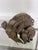 1960s Terracotta Elephant Figure, 1960s For Sale - Image 5 of 5