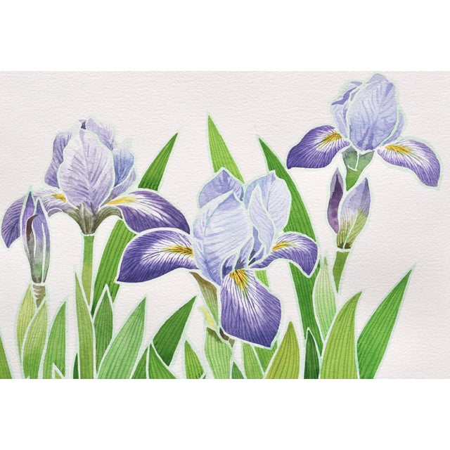 1990s Drawings and Watercolor Paintings > Still-Life Drawings and Watercolors by David Wang For Sale - Image 5 of 6