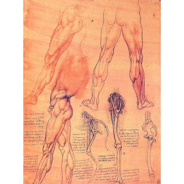 1990s "Leonardo Da Vinci the Anatomy of Man" 1992 Clayton, Martin For Sale - Image 5 of 7