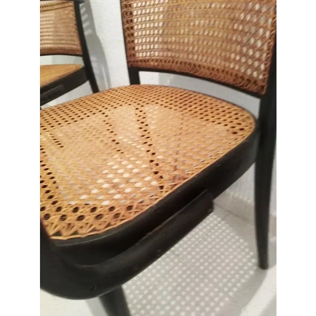 Set of Vintage Bentwood Chairs by Josef Hoffmann, 1930 For Sale - Image 6 of 7