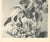 French 1904 French Antique Botanical Photograph- LILACS-with Documentation For Sale - Image 3 of 4