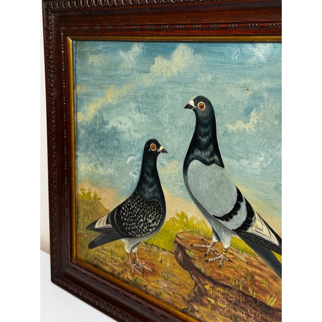 Old Badge Hen & Champion Cock Racing Pigeons Oil Portrait Winner Whitley Bay 1909 in the Manner of Andrew Beer. For Sale - Image 13 of 18