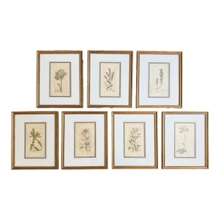 Set of 7 Antique Botanical Prints, Early 1800s, Authentic Curtis and Sowerby For Sale