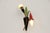 Black Mid-Century Modernist Wall Lamp, Germany, 1950s For Sale - Image 8 of 15