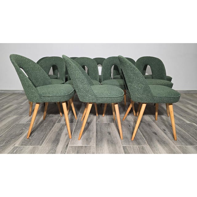 Textile Vintage Dining Chairs by Antonin Suman, 1960s, Set of 12 For Sale - Image 7 of 10