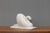 Plaster model of a swan in an art deco style (base repaired). Circa 1950.