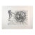 1960s Share Dali Don Quichotte Et l'Oursin Hand Sig Numb Etching Surreal Very Rare Art For Sale