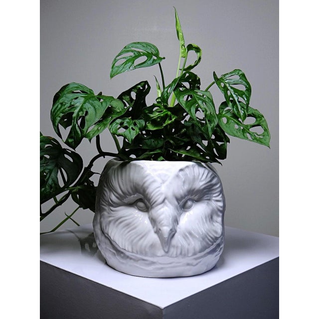 1960s Large Vintage Italian White Earthenware Owl Head Cachepot, 1960s For Sale - Image 5 of 18