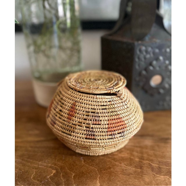 Hand-Woven Native American Horsehair Lidded Basket For Sale - Image 10 of 10