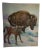1937 Bison Book Illustration by Diana Thorne For Sale