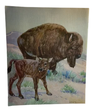 1937 Bison Book Illustration by Diana Thorne