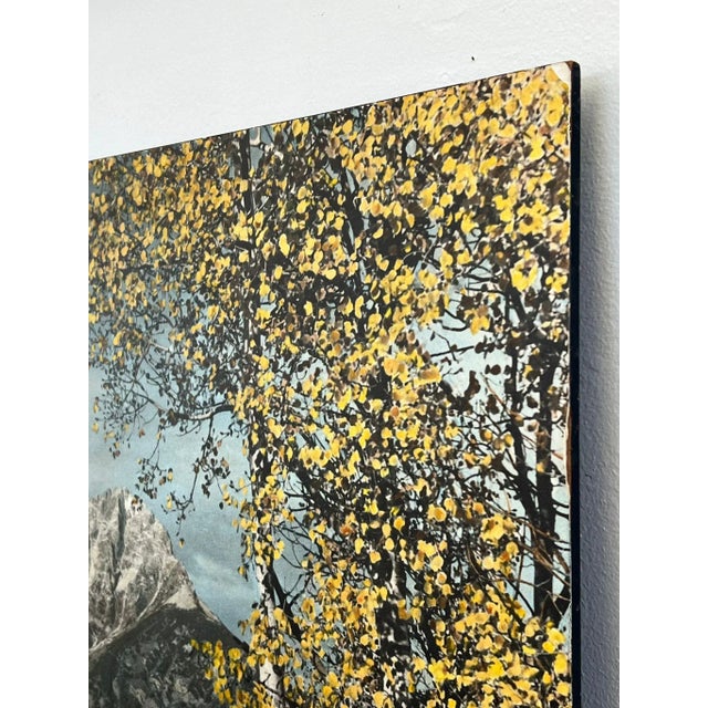 1970s Vintage Tinted Photo Print For Sale - Image 10 of 10