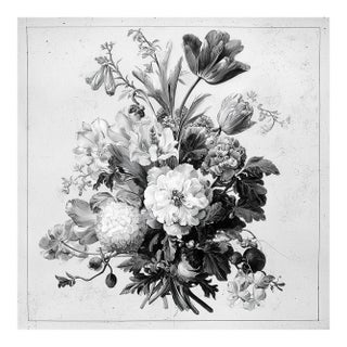 Antique Botanical Study - Natural History Fine Art Print For Sale