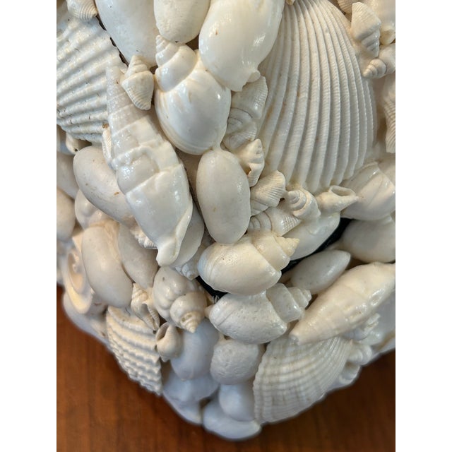 Late 20th Century Coastal or Palm Beach Sailors Valentine White Shell Encrusted Box For Sale In New Orleans - Image 6 of 8