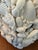 Late 20th Century Coastal or Palm Beach Sailors Valentine White Shell Encrusted Box For Sale In New Orleans - Image 6 of 8