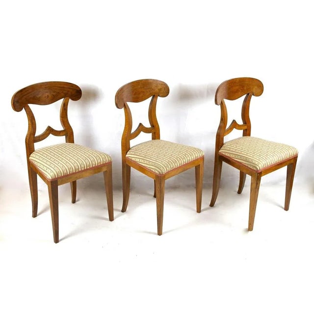 Beige Biedermeier Nutwood Shovel Dining Chairs, 19th Century, Set of 6 For Sale - Image 8 of 13