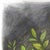 Amanda Immurs, an artist hailing from Hamilton, Canada, creates enchanting watercolor artworks that bring whimsical scenes...