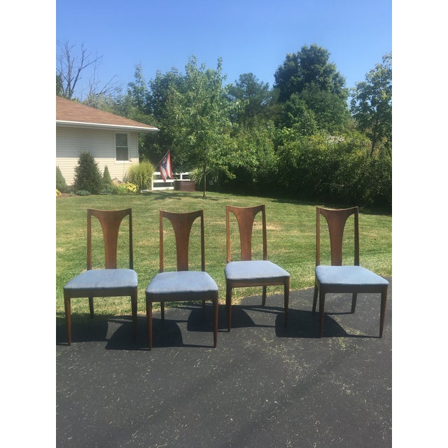 Mid Century Broyhill Brasilia Lenoir Chair Company Walnut Dining Room Chairs Set of 4 Chairish