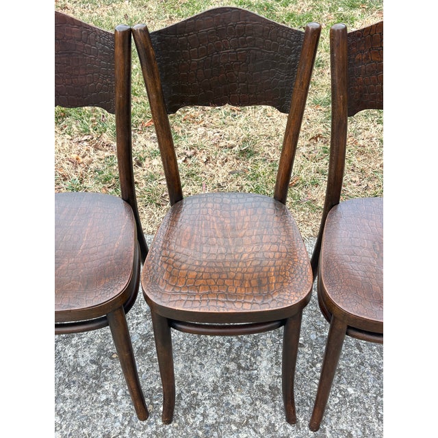 Wood 1920s Model 255 Thonet Bentwood Chairs "Crocodile" Pattern, Set of 4 For Sale - Image 7 of 13