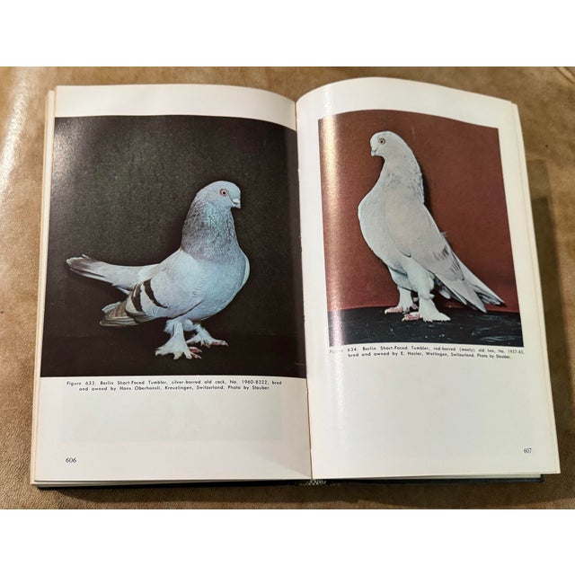 1960s Wendell M. Levi Encyclopedia of Pigeon Breeds Hardcover Illustrated 1965 For Sale - Image 5 of 8