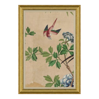 Delfern I Framed Art Print by David Phoenix For Sale