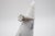 Late 19th Century Late 19th Century Platinum Old European-Cut Diamond Ring, Size 6.75 For Sale - Image 5 of 13