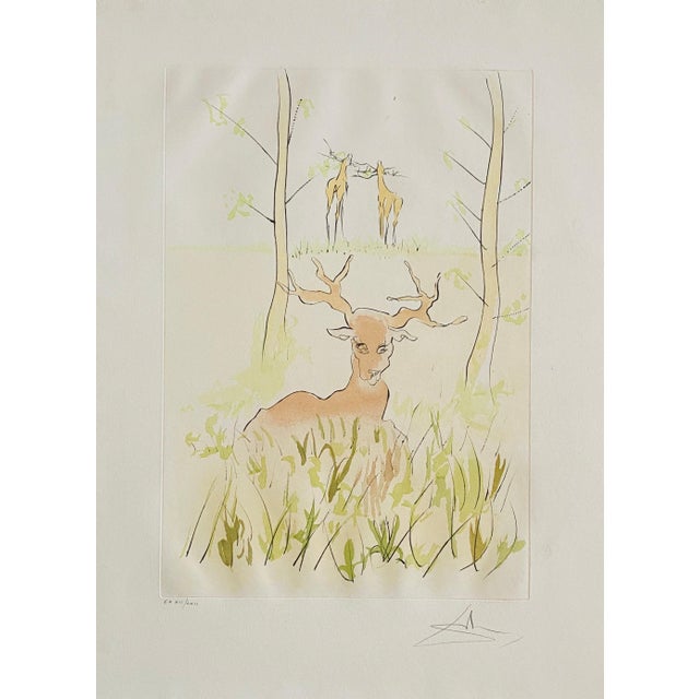 An original signed drypoint etching with color pochoir by Spanish artist Salvador Dali titled "La Cerf Malade", depicting...