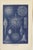 Richard Lydekker, Radiolarians, 1896, Color Process Print For Sale - Image 3 of 9