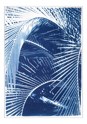 2021 "Tropical Palm Branches" Handmade Cyanotype Print on Watercolor Paper by Kind of Cyan