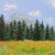 Contemporary "A Summer Day" Contemporary Original Impressionist Style Landscape Painting by Deb Bossert For Sale - Image 3 of 8