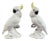 Mid-Century Cockatoos by T.J. Jones, 1950s, Set of 2 For Sale