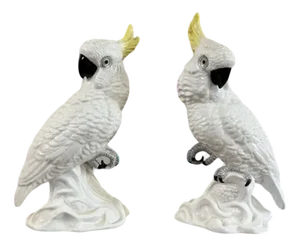 Mid-Century Cockatoos by T.J. Jones, 1950s, Set of 2