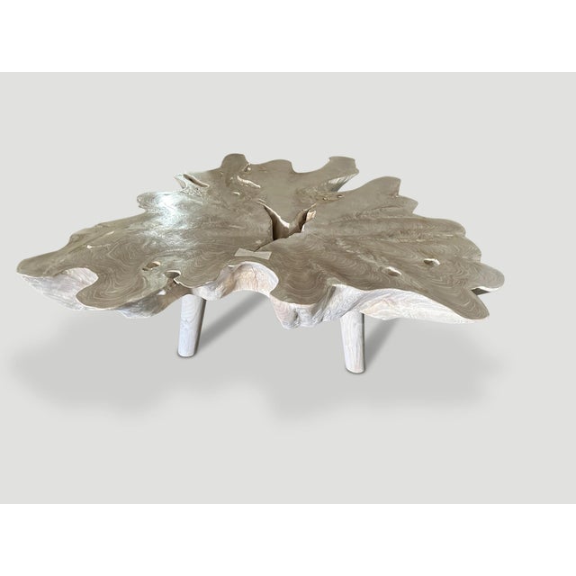 White Andrianna Shamaris Amorphous Mid Century Style Bleached Teak Wood Coffee Table For Sale - Image 8 of 18