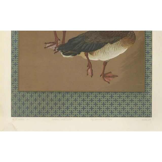 Japanese Geese, 1880s, Lithograph For Sale - Image 3 of 10