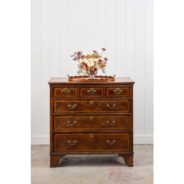 This handsome walnut period chest showcases rich burled woodgrain and contrast satinwood banding. It features six drawers,...