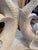 White Painted Dolphin Dining Table For Sale - Image 8 of 12