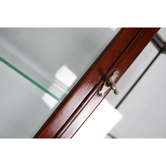 Victorian Mahogany Museum Shop Display Cabinet or Vitrine, Late 19th Century For Sale - Image 12 of 18