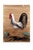Mid 20th Century Vintage Painting of Rooster on Rock With Black Tail Feathers For Sale - Image 5 of 5