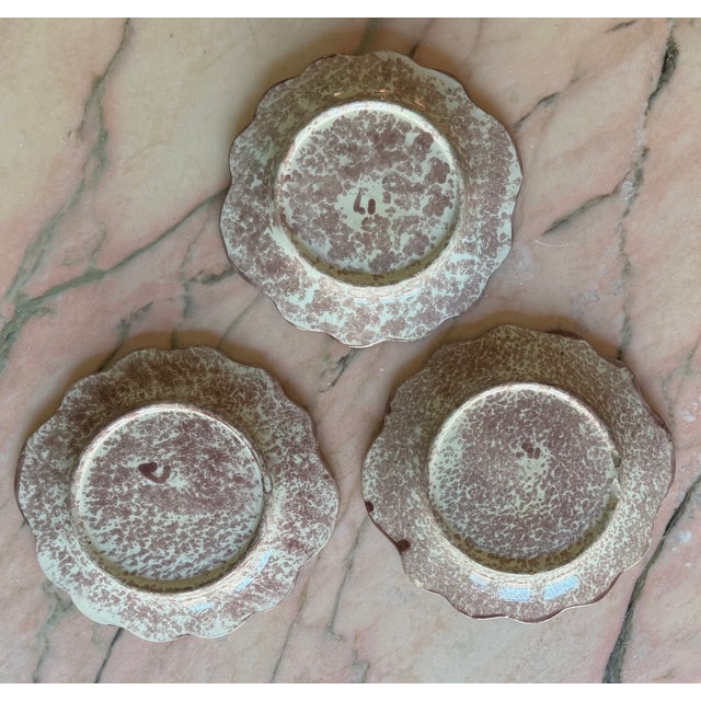 Victorian Era Majolica Dog Plates Arsenal Pottery Set of Three (3) For Sale - Image 12 of 12