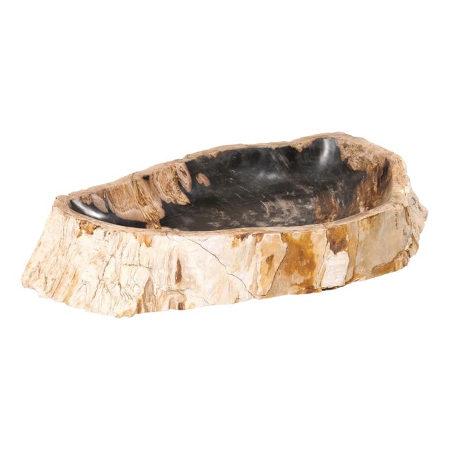 Live-Edge Petrified Wood Sink, Oblong Shape For Sale