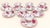 19th Century Limoges Porcelain Coffee Service with Pink Flowers by Raynaud & Co, 1890s For Sale - Image 5 of 5