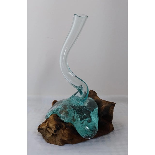 This is a "Gamal" root tree glass vase. The unique vase is made of molten glass blown onto the root of a natural gamal...